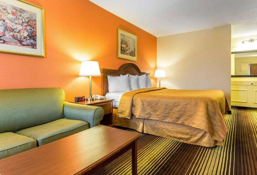 Стандартный Номер Кровать Кинг, Quality Inn University