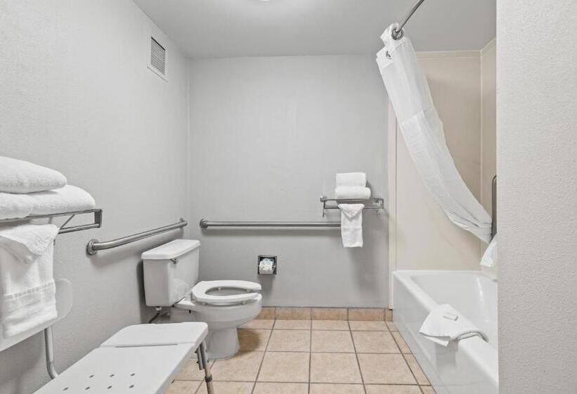 Номер Стандарт Кровать Кинг Адаптированный для Инвалидов, Red Lion Inn & Suites Deschutes River   Bend