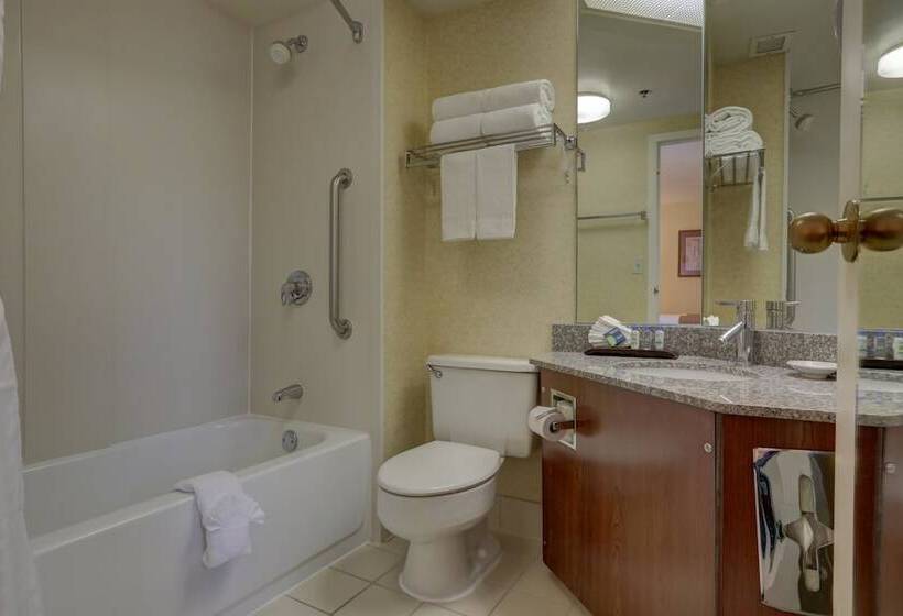 Номер Стандарт 2 Двуспальные Кровати, Surestay Plus Hotel By Best Western Chicago Lombard