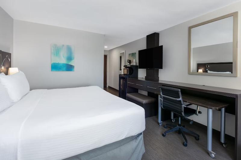 اتاق استاندارد با تخت بزرگ, Wyndham Corpus Christi Resort North Padre Island