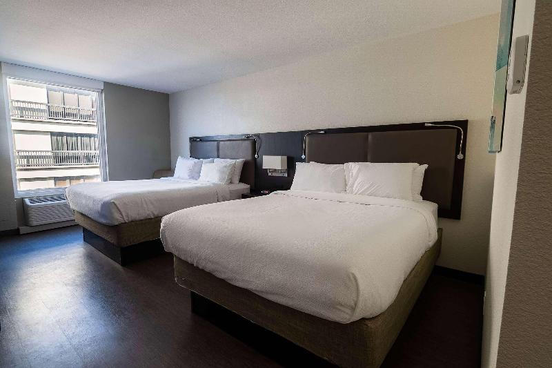 Suite Queen Bed, Wyndham Corpus Christi Resort North Padre Island