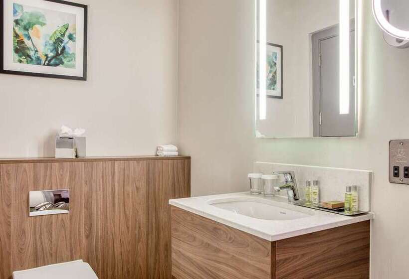 Номер Стандарт, Alex Johnson Rapid City Curio Collection By Hilton