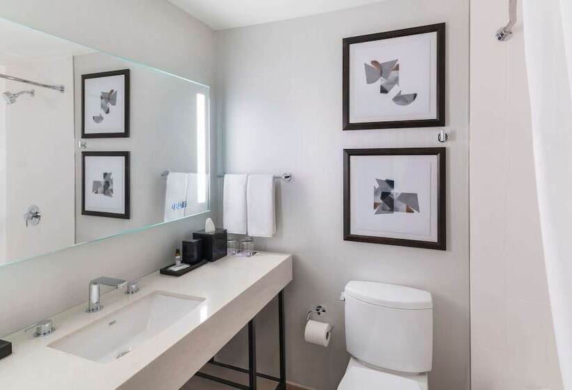 Suite Deluxe, Hyatt Regency Ohare Chicago
