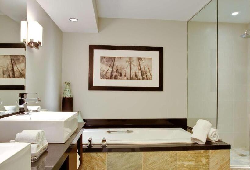 Пентхаус Люкс, Grand Hyatt Indian Wells Resort & Villas