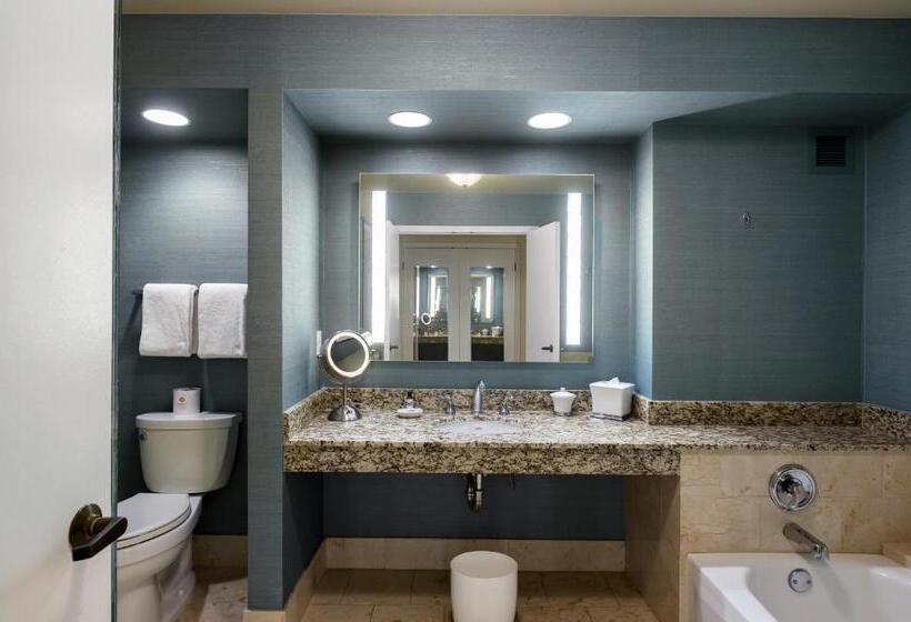 Номер Стандарт Кровать Кинг Адаптированный для Инвалидов, Grand Hyatt Indian Wells Resort & Villas