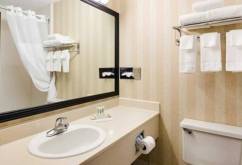스탠다드 룸 더블 침대 2개, Quality Hotel And Conference Center