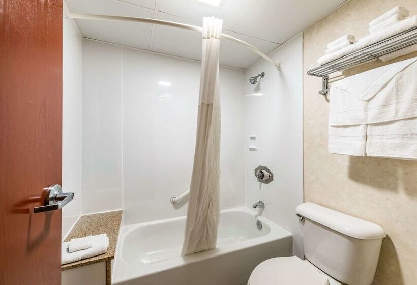 İki Çift Kişilik Yataklı Standart Oda, Quality Inn Bradley Bourbonnais