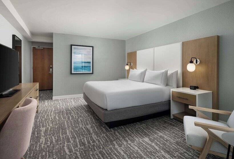 キングサイズベッドのスタンダードルーム, Hilton Myrtle Beach Resort