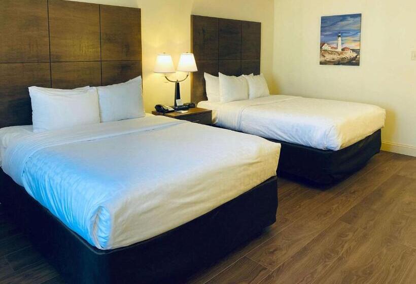 Номер Стандарт, Clarion Hotel & Conference Center