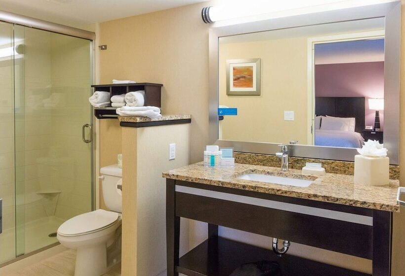 Номер Стандарт Двуспальная Кровать Вид на Море, Hampton Inn Daytona Beach/beachfront