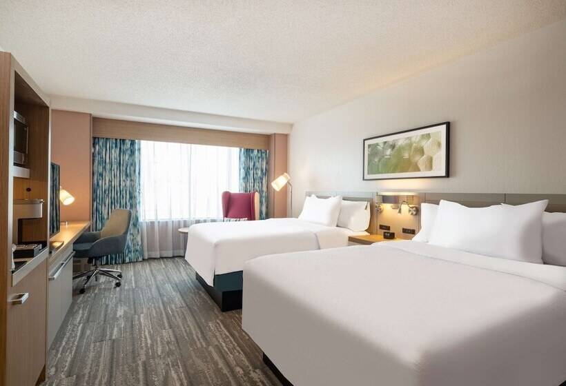 Номер Стандарт 2 Двуспальные Кровати, Hilton Garden Inn Toledo Downtown