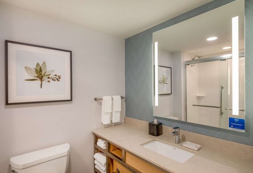 Номер Стандарт 2 Двуспальные Кровати, Hilton Garden Inn Toledo Downtown