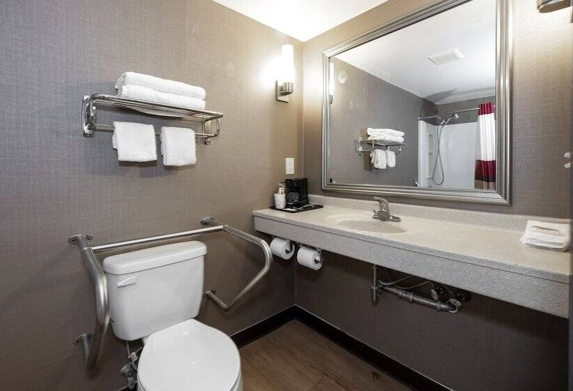 Номер Deluxe, Red Roof Inn Fulton