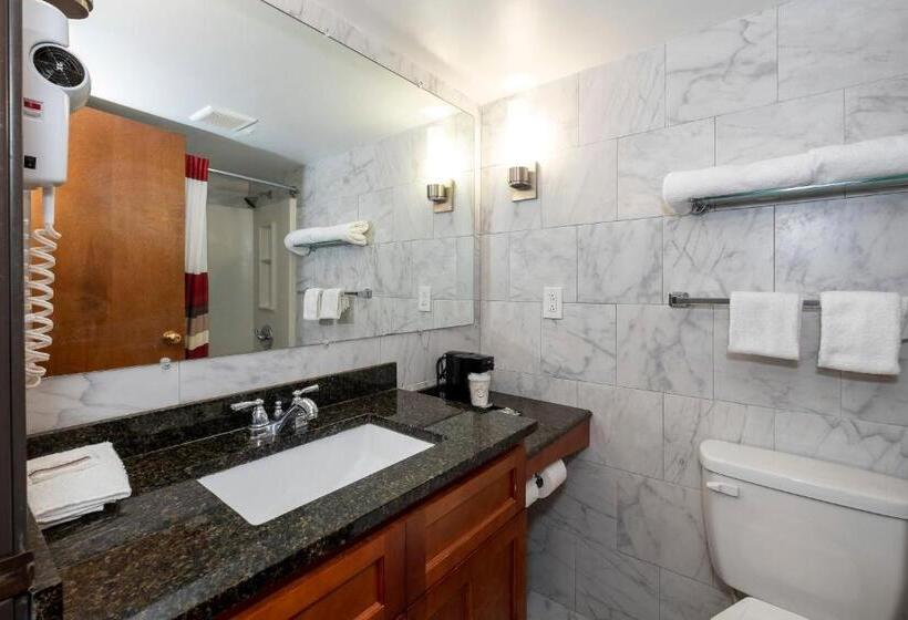 Номер Deluxe Кровать Кинг, Red Roof Inn Fulton