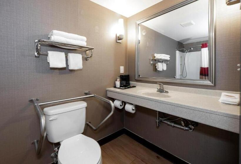 Номер Стандарт Кровать Кинг Адаптированный для Инвалидов, Red Roof Inn Fulton