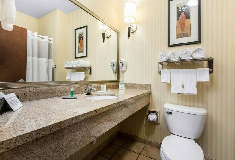 Люкс, Comfort Suites Cullman I65 Exit 310