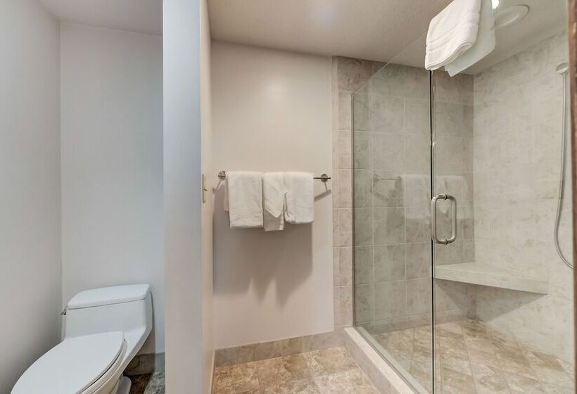 Апартаменты 2 Спальни, Shadow Ridge By All Seasons Resort Lodging