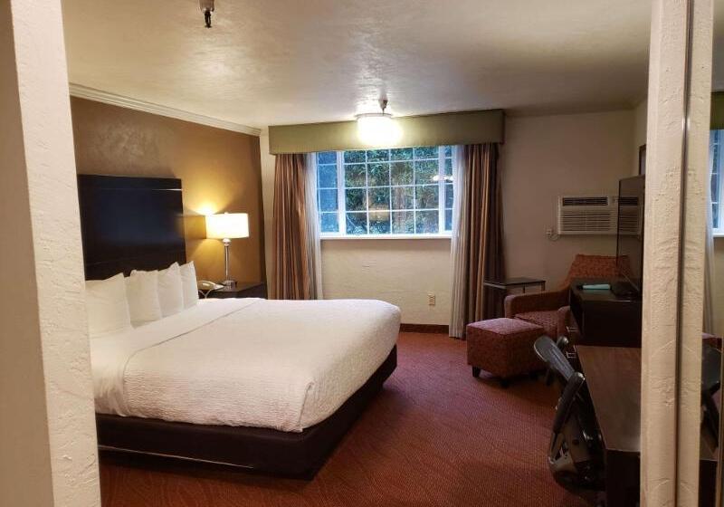 스탠다드 룸, Best Western Plus Parkway Inn