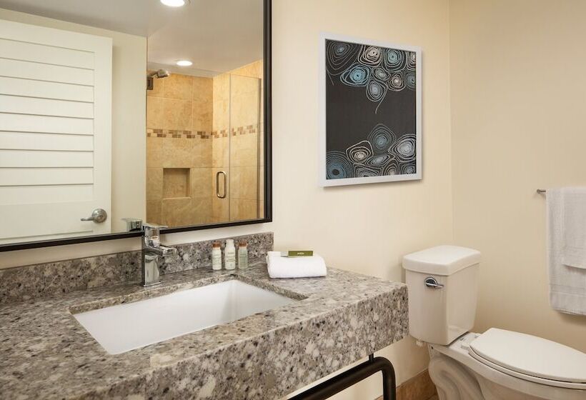 Номер Стандарт, Indigo San Diego Del Mar, An Ihg