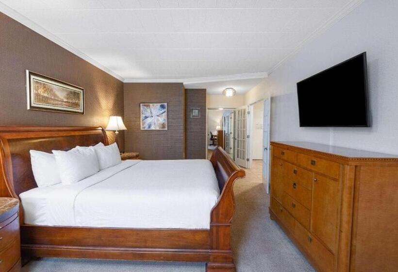 带大床的套房, Wyndham Garden York