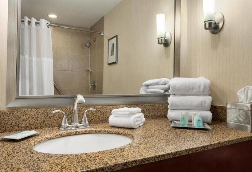 Standard Værelse King-seng Tilpasset til Handicappede, Wyndham Springfield City Centre