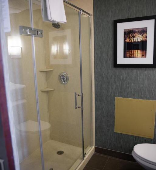 Suite, Wyndham Springfield City Centre