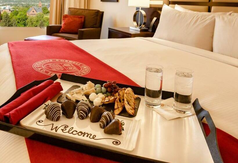Стандартный Номер Кровать Кинг, The Statler Hotel At Cornell University