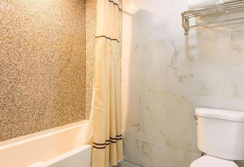 Номер Стандарт, Rodeway Inn And Suites