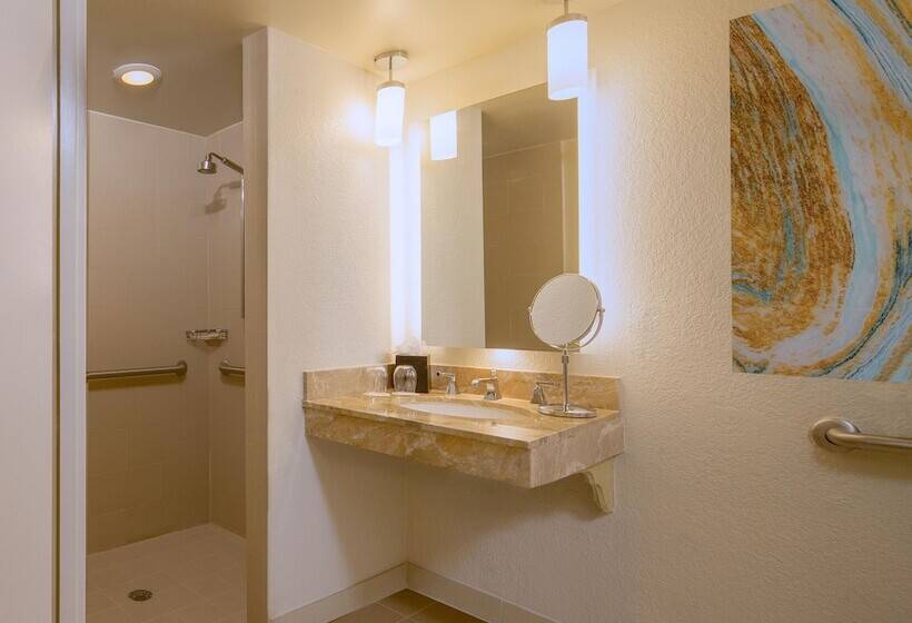 غرفه قياسيه سريرين مزدوجين, The Westin Tampa Waterside
