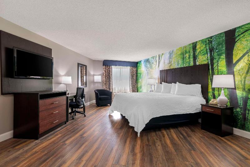 غرفة قياسية سرير كينج, The Westin Tampa Waterside
