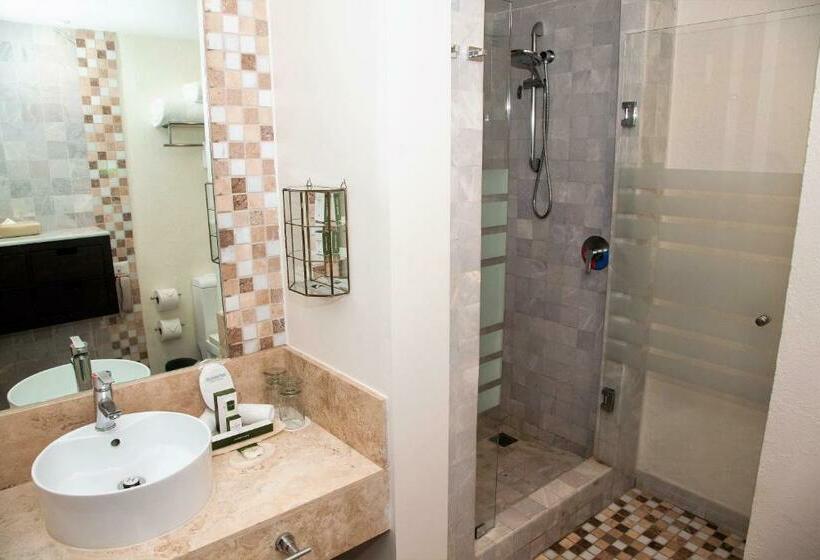 غرفة ديلوكس, Occidental Nuevo Vallarta