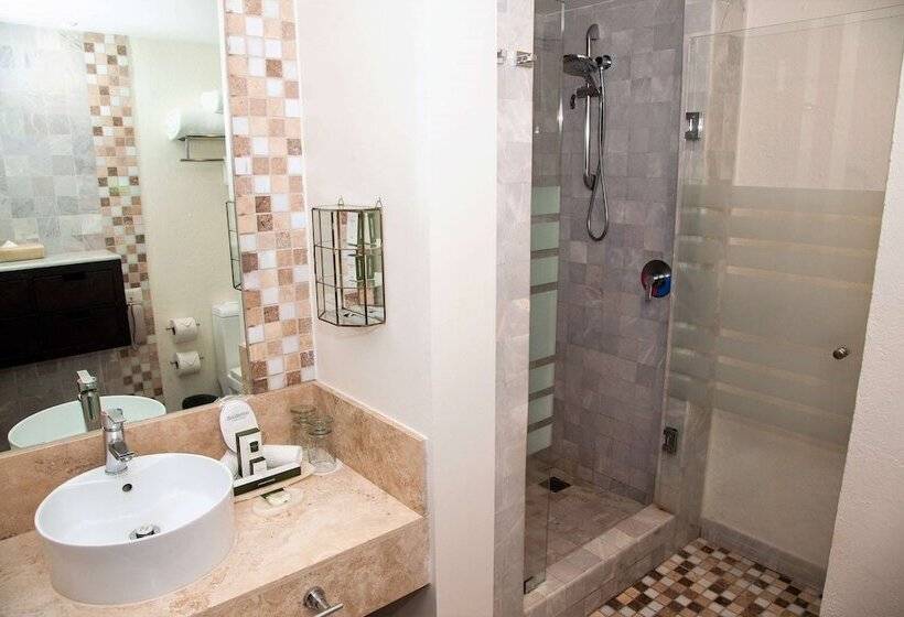 غرفة ديلوكس مطلّة علي البحر, Occidental Nuevo Vallarta