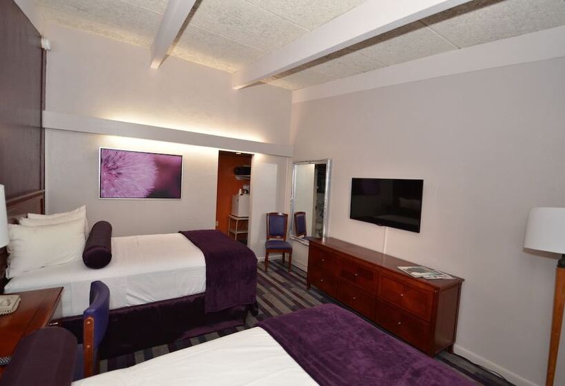 Standaardkamer met 2 Tweepersoonsbedden, Sea Club Ocean Resort