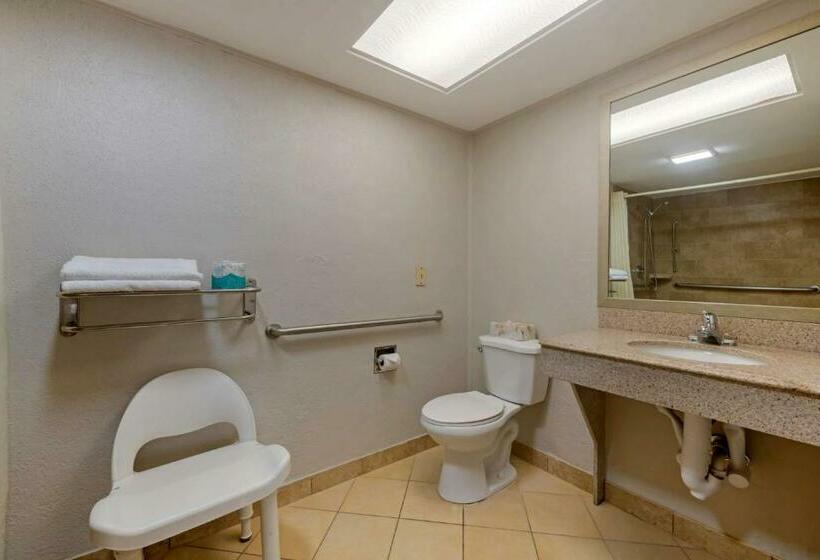 Номер Стандарт Кровать Кинг Адаптированный для Инвалидов, Best Western Inn Of Palatka