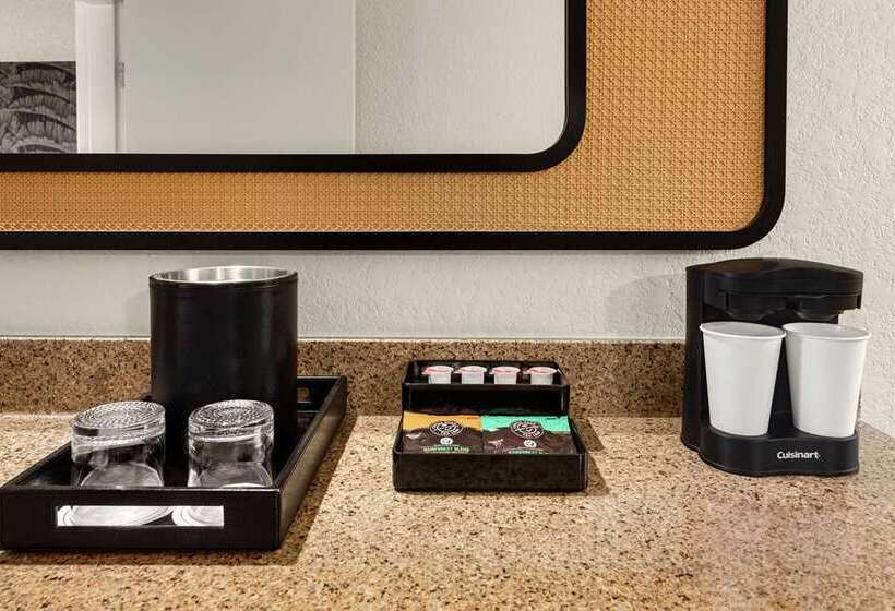 سوئیت با تخت بزرگ, Embassy Suites By Hilton San Juan Hotel & Casino