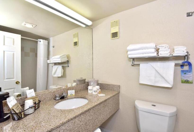 חדר סטנדרט עם מיטת קינג, Envision Hotel Miami International Airport