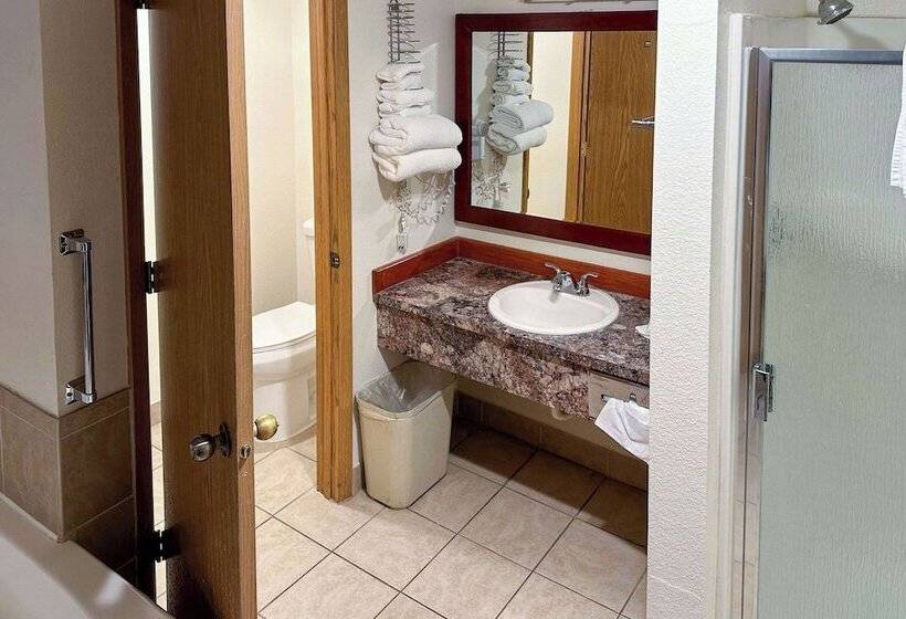 Люкс, Econo Lodge Edmonds North Seattle