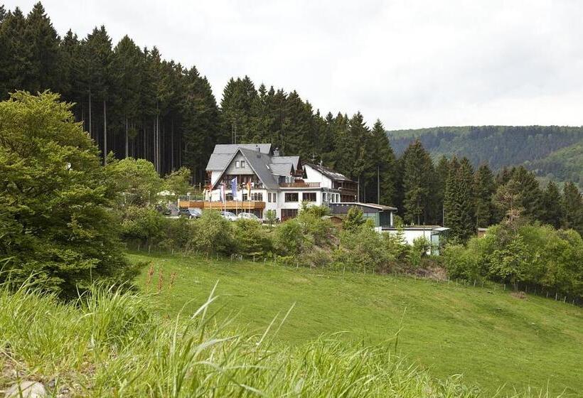 Номер Стандарт, Wald Hotel Willingen