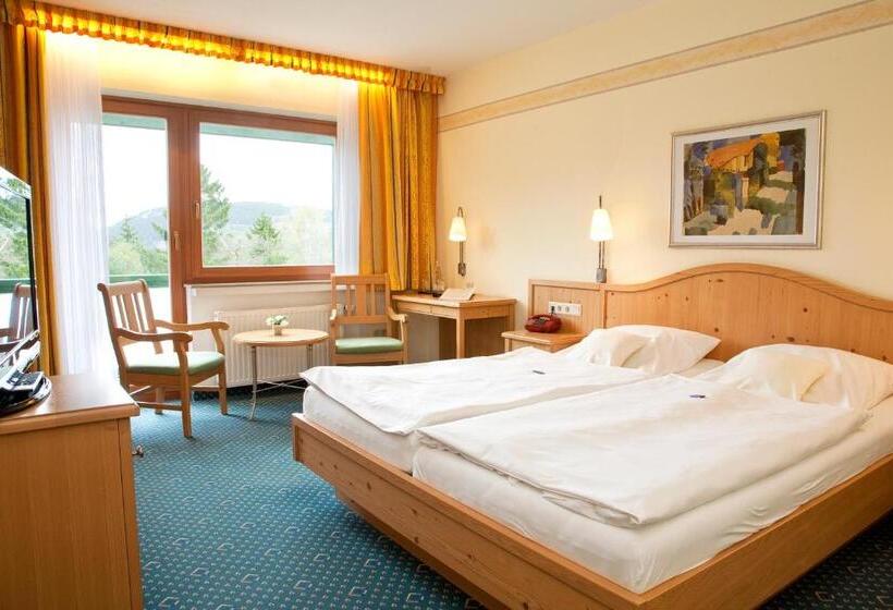 Номер Стандарт, Wald Hotel Willingen