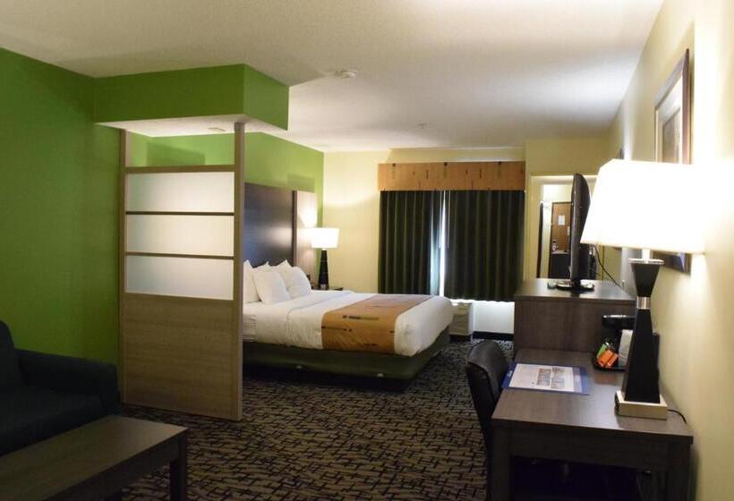 Люкс Кровать Кинг, Best Western Crown Inn & Suites   Batavia