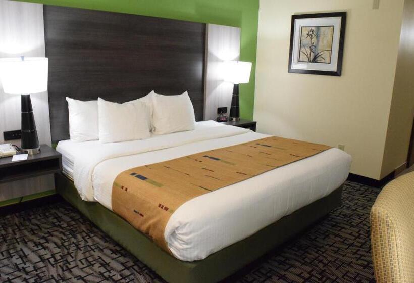 Люкс Кровать Кинг, Best Western Crown Inn & Suites   Batavia