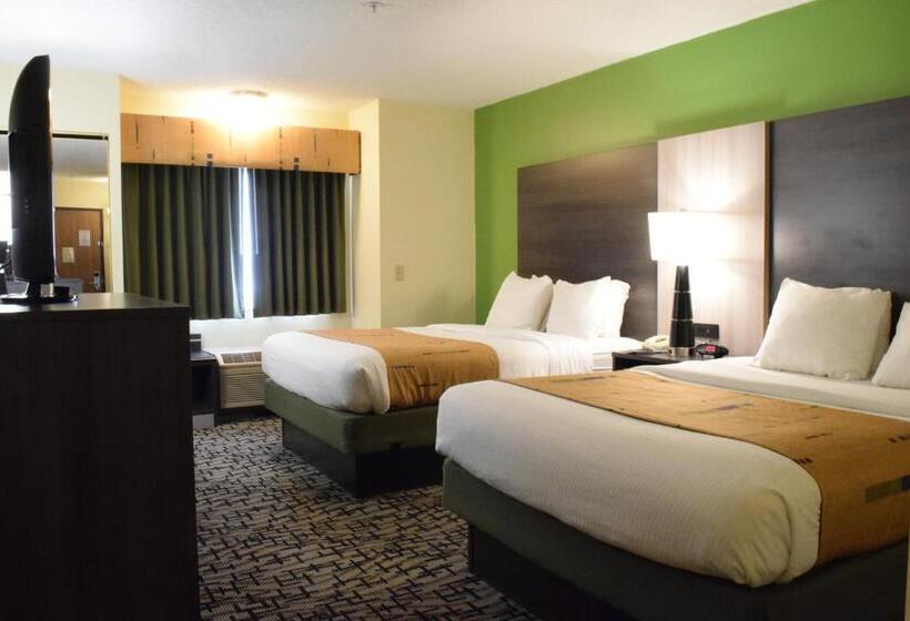 Номер Стандарт Кровать Квин Адаптированный для Инвалидов, Best Western Crown Inn & Suites   Batavia