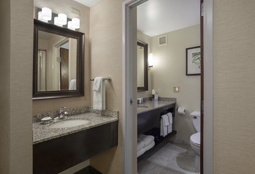 Номер Стандарт, Crowne Plaza Lansing, An Ihg