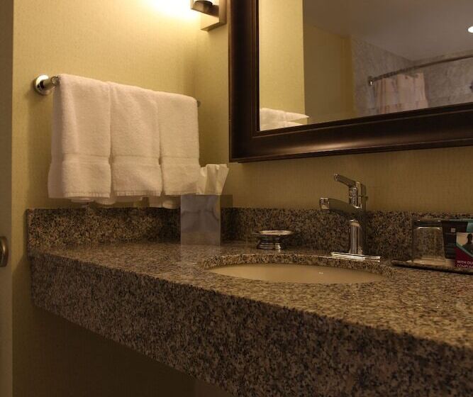 Номер Стандарт 2 Двуспальные Кровати, Crowne Plaza Lansing, An Ihg