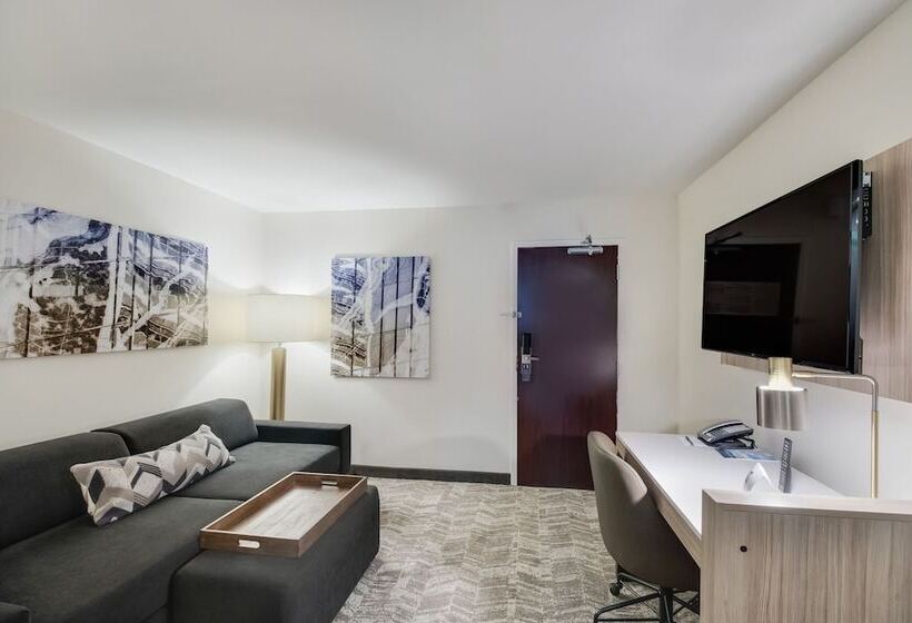 Люкс, Springhill Suites By Marriott Dallas Nw Highway At Stemmons / I 35east