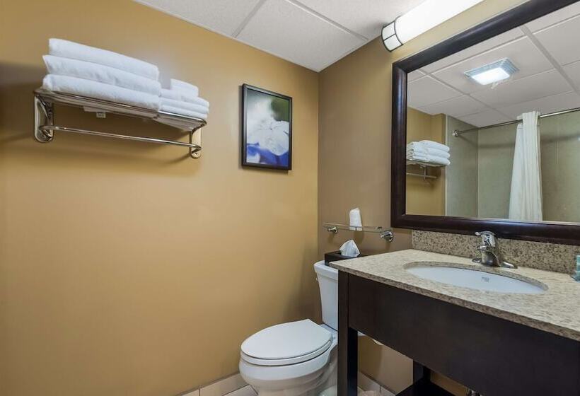 Номер Стандарт 2 Двуспальные Кровати, Best Western Philadelphia South  West Deptford Inn