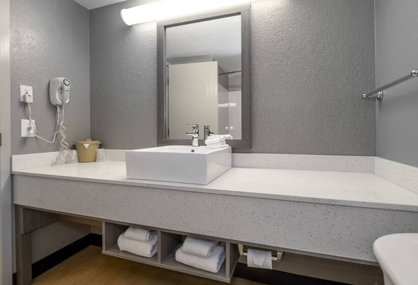 Номер Премиум, Red Roof Inn Plus Boston   Mansfield   Foxboro