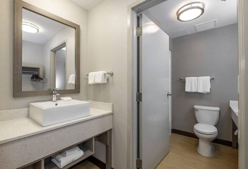 Номер Премиум, Red Roof Inn Plus Boston   Mansfield   Foxboro