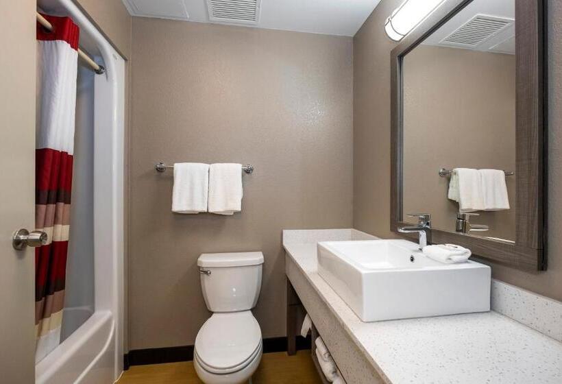 Номер Стандарт 2 Двуспальные Кровати, Red Roof Inn Plus Boston   Mansfield   Foxboro