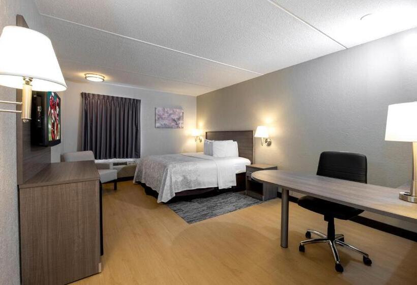 Номер Superior Адаптированный для Инвалидов, Red Roof Inn Plus Boston   Mansfield   Foxboro